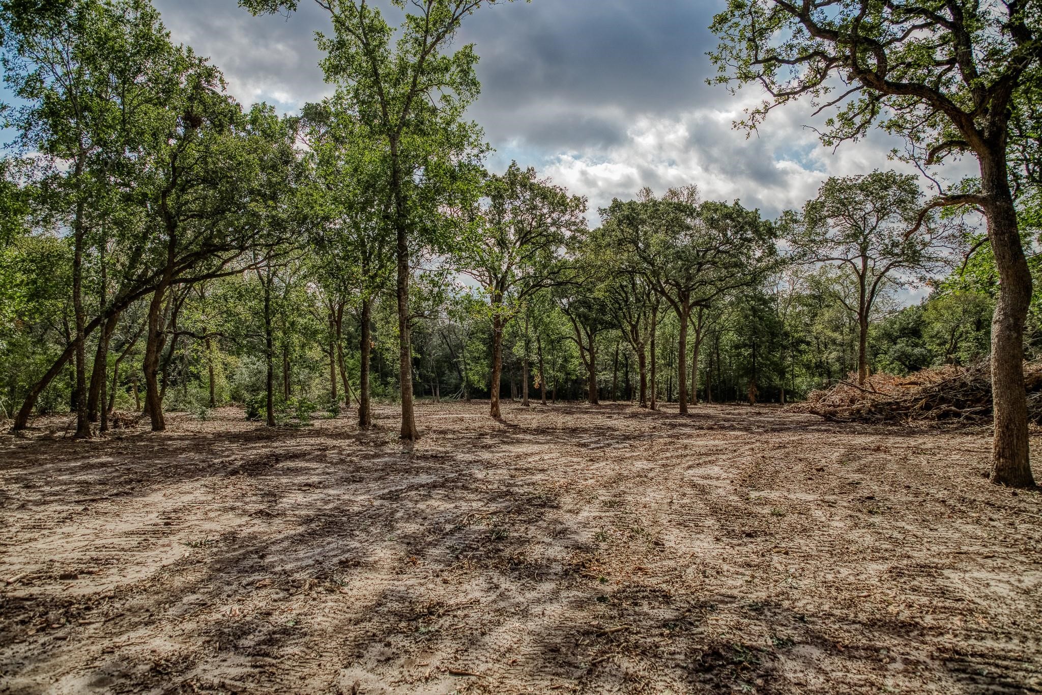 Tbd Sun Oil Road Brenham, TX 77833 - Photo 6 of 37