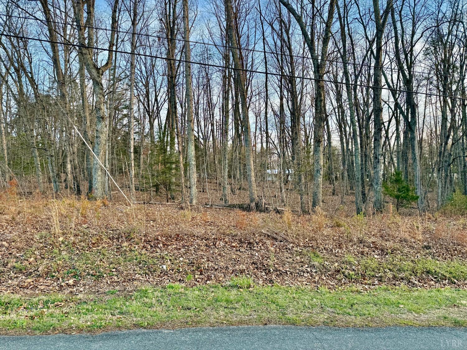 0 Spring Street Hurt, VA 24563 - Photo 1 of 4 a backyard of a house with lots of green space