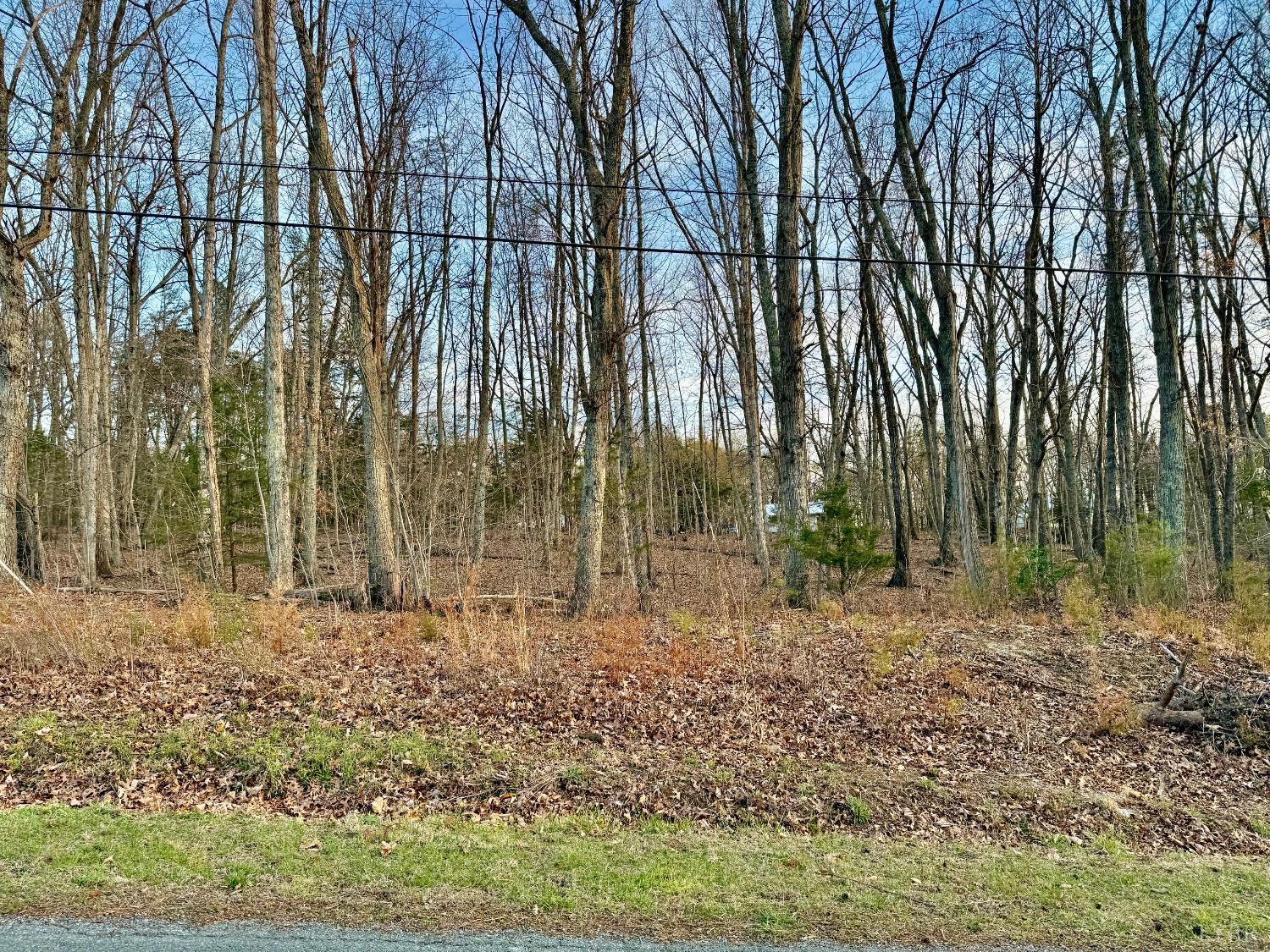0 Spring Street Hurt, VA 24563 - Photo 3 of 4 a backyard of a house with lots of green space