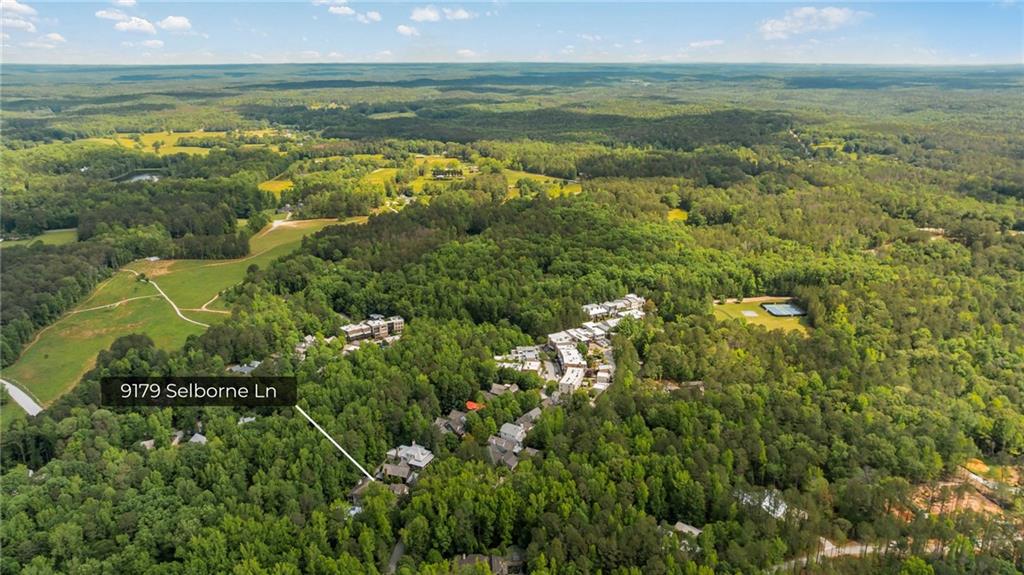 9179 Selborne Lane Chattahoochee Hills, GA 30268 - Photo 49 of 53 a view of an ocean and beach