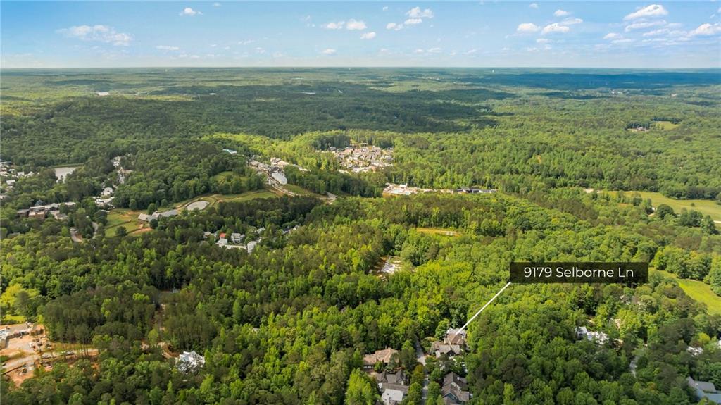 9179 Selborne Lane Chattahoochee Hills, GA 30268 - Photo 52 of 53 a view of an ocean and a yard