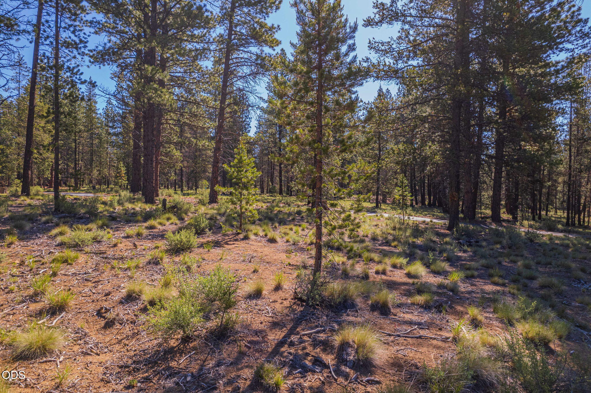 56319 Mirror Rock Loop Bend, Unit 337 Bend, OR 97707 - Photo 2 of 18