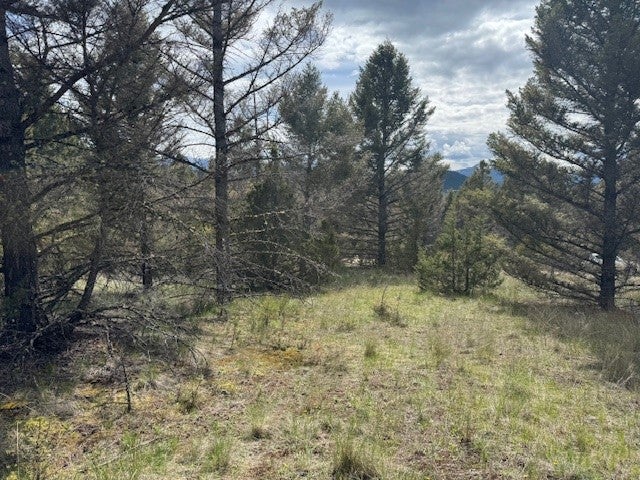 704 Flint View Road Deer Lodge, MT 59722 - Photo 17 of 20 Gallery Image 17