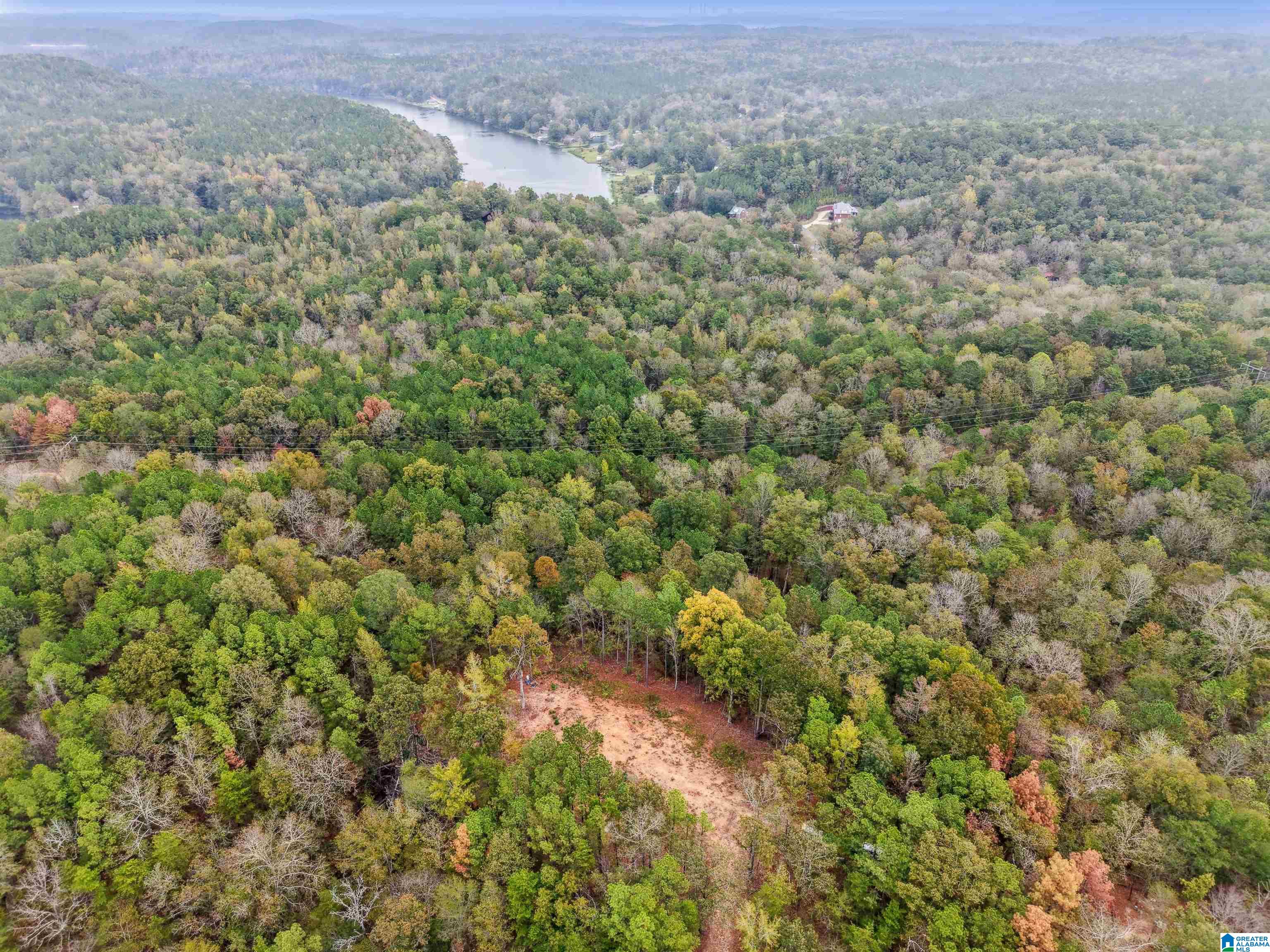 1215 Buddy Vines Camp Road Bessemer, AL 35023 - Photo 21 of 25