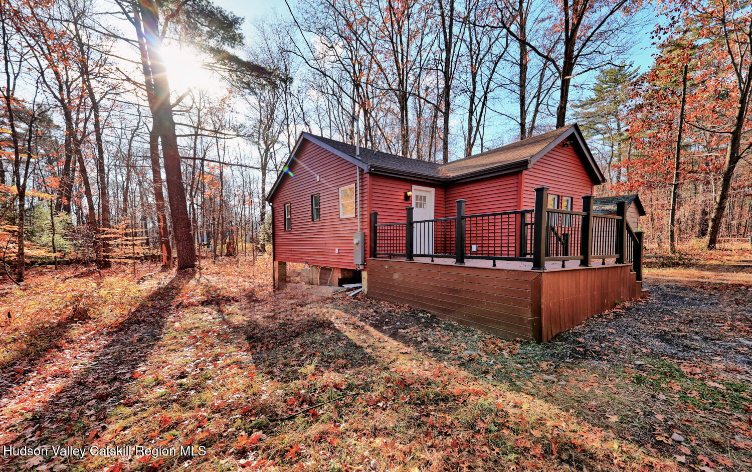40 Cemetery Road Palenville, NY 12463 - Photo 3 of 47 a view of house with a yard covered in the forest