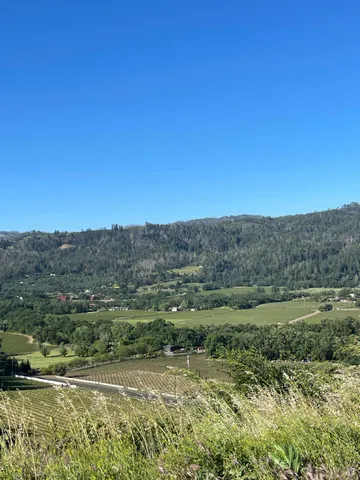 a view of a yard with an ocean view in back