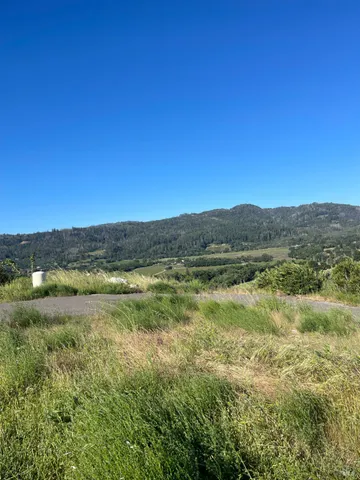 a view of a swimming pool with a yard