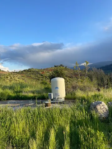 a picture of flowers