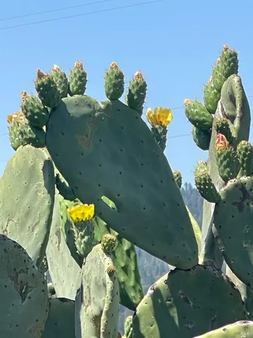 $2,550,000 | 3500 Silverado Trail North, St. Helena, CA 94574