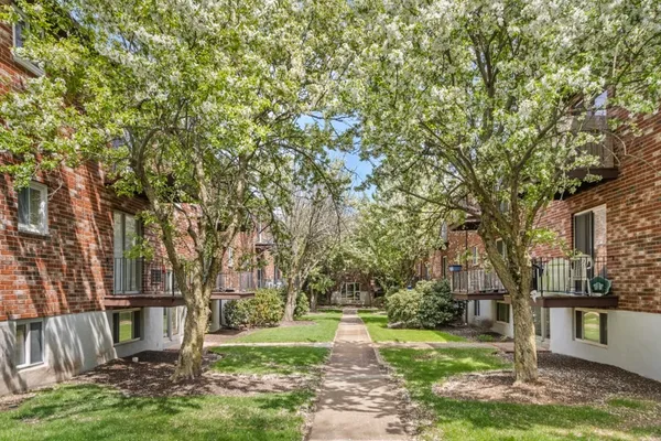 a view of backyard with tree