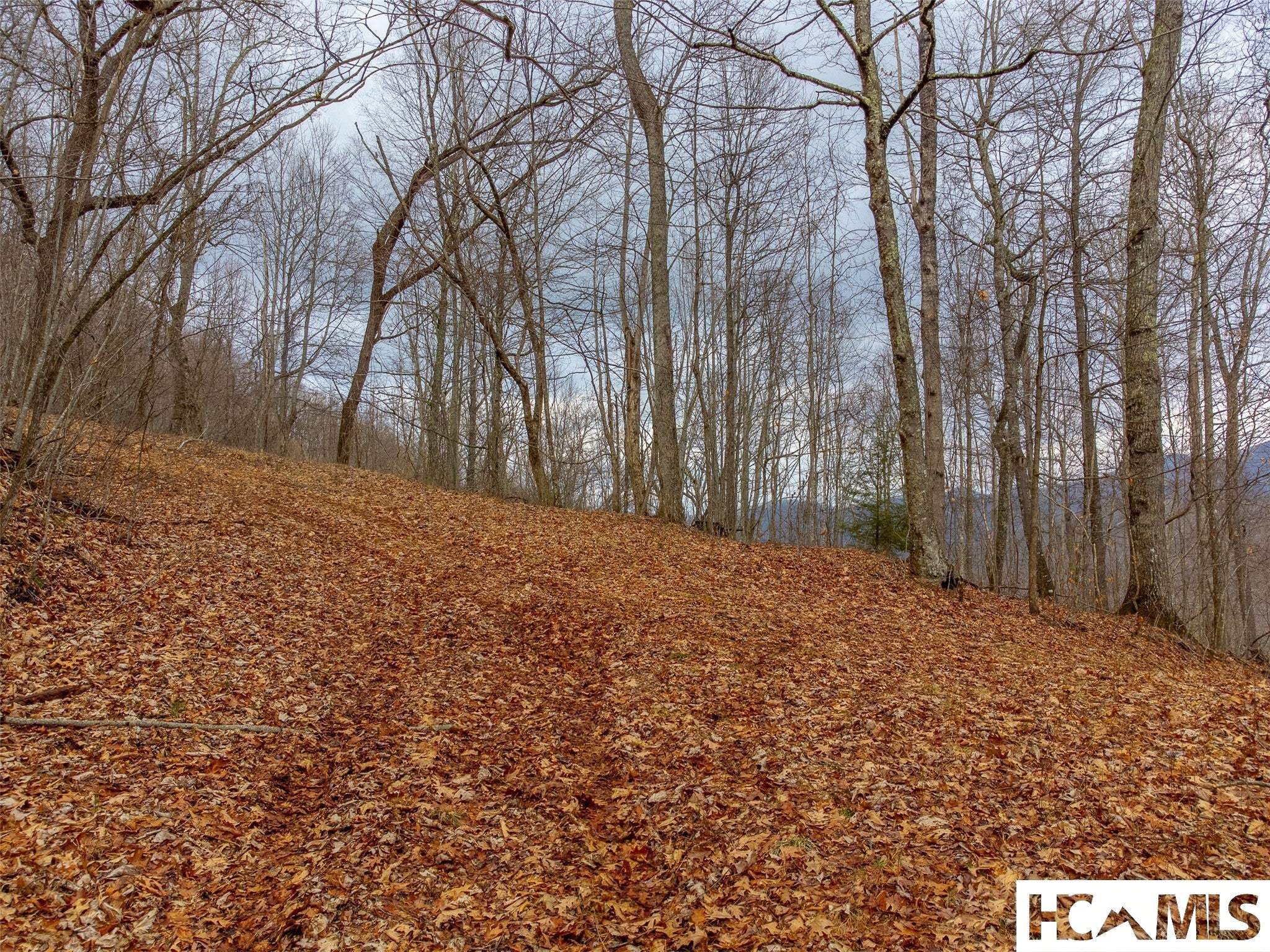 1241 Henry Road Franklin, NC 28734 - Photo 61 of 67 Gallery Image 61