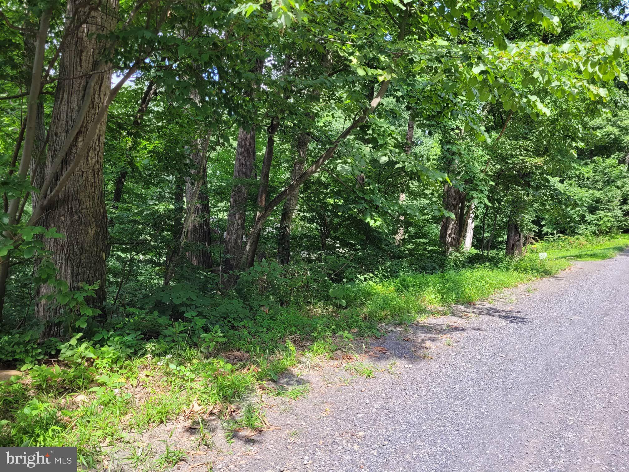 0 Parkside Road Linden, VA 22642 - Photo 1 of 5 road frontage