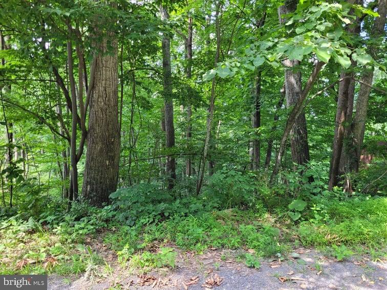 0 Parkside Road Linden, VA 22642 - Photo 2 of 5 Building lot with road frontage
