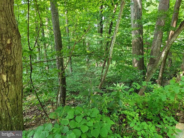 0 Parkside Road Linden, VA 22642 - Photo 4 of 5
