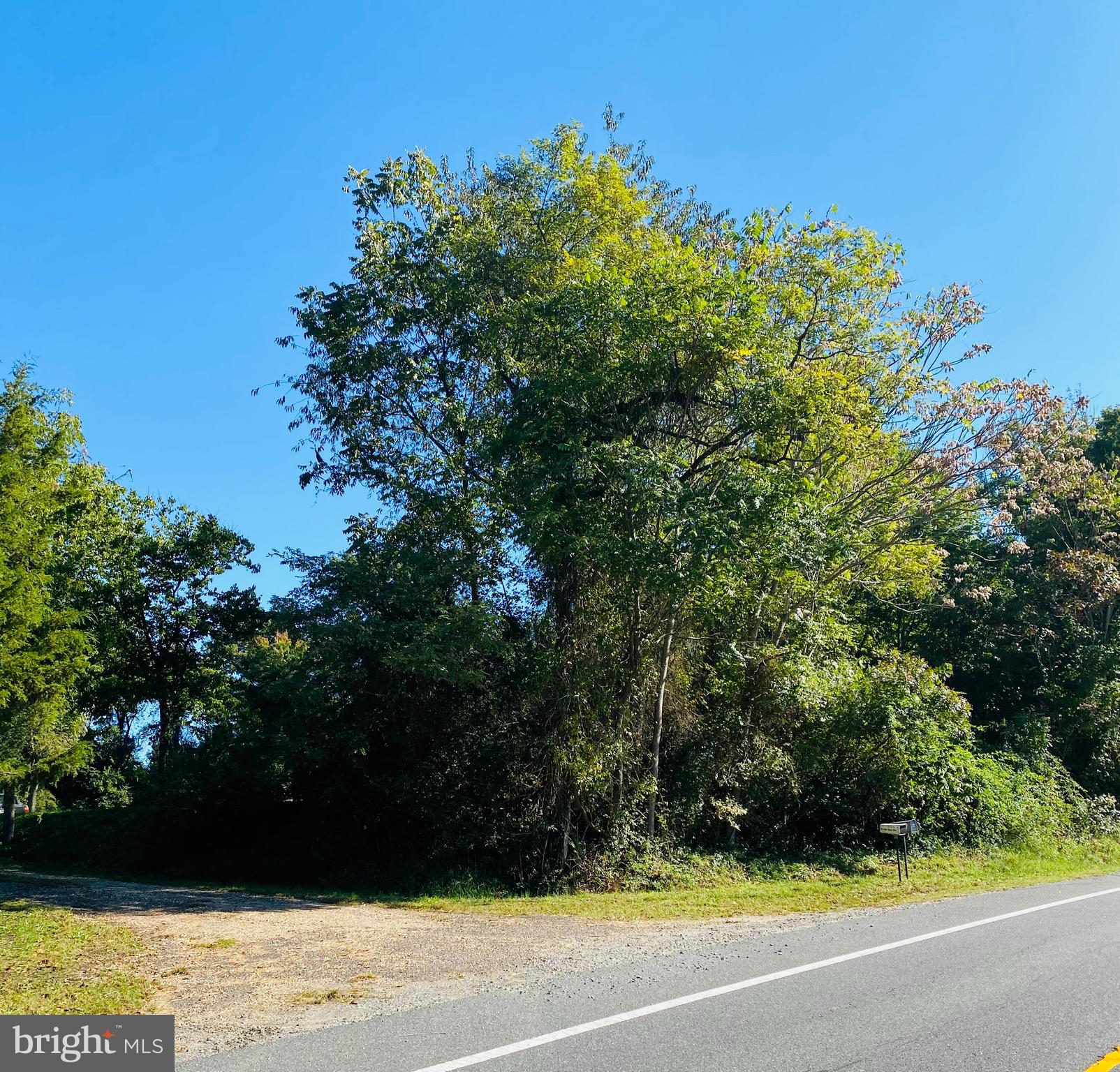 1457 Caledon Road King George, VA 22485 - Photo 2 of 6