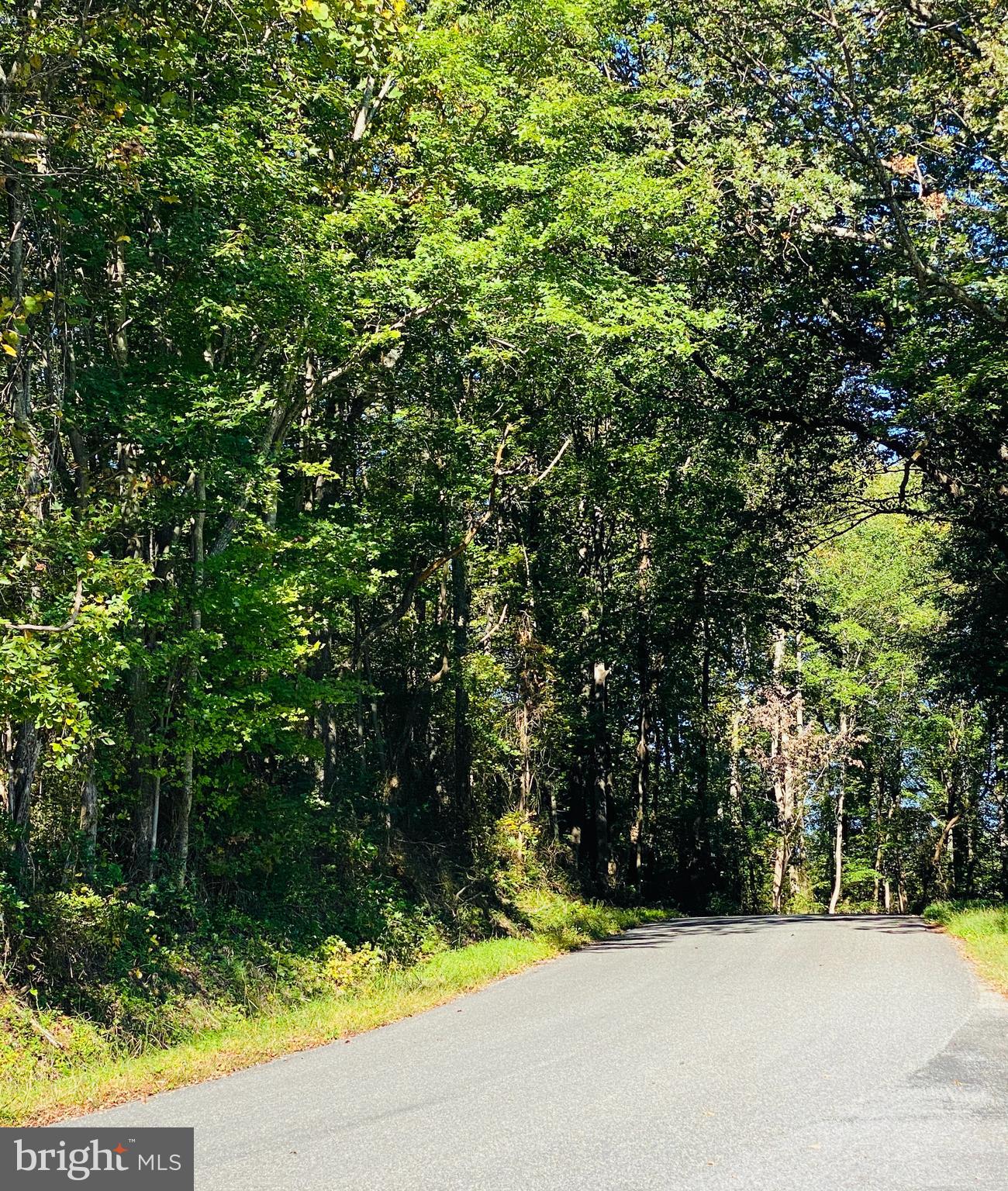 1457 Caledon Road King George, VA 22485 - Photo 3 of 6