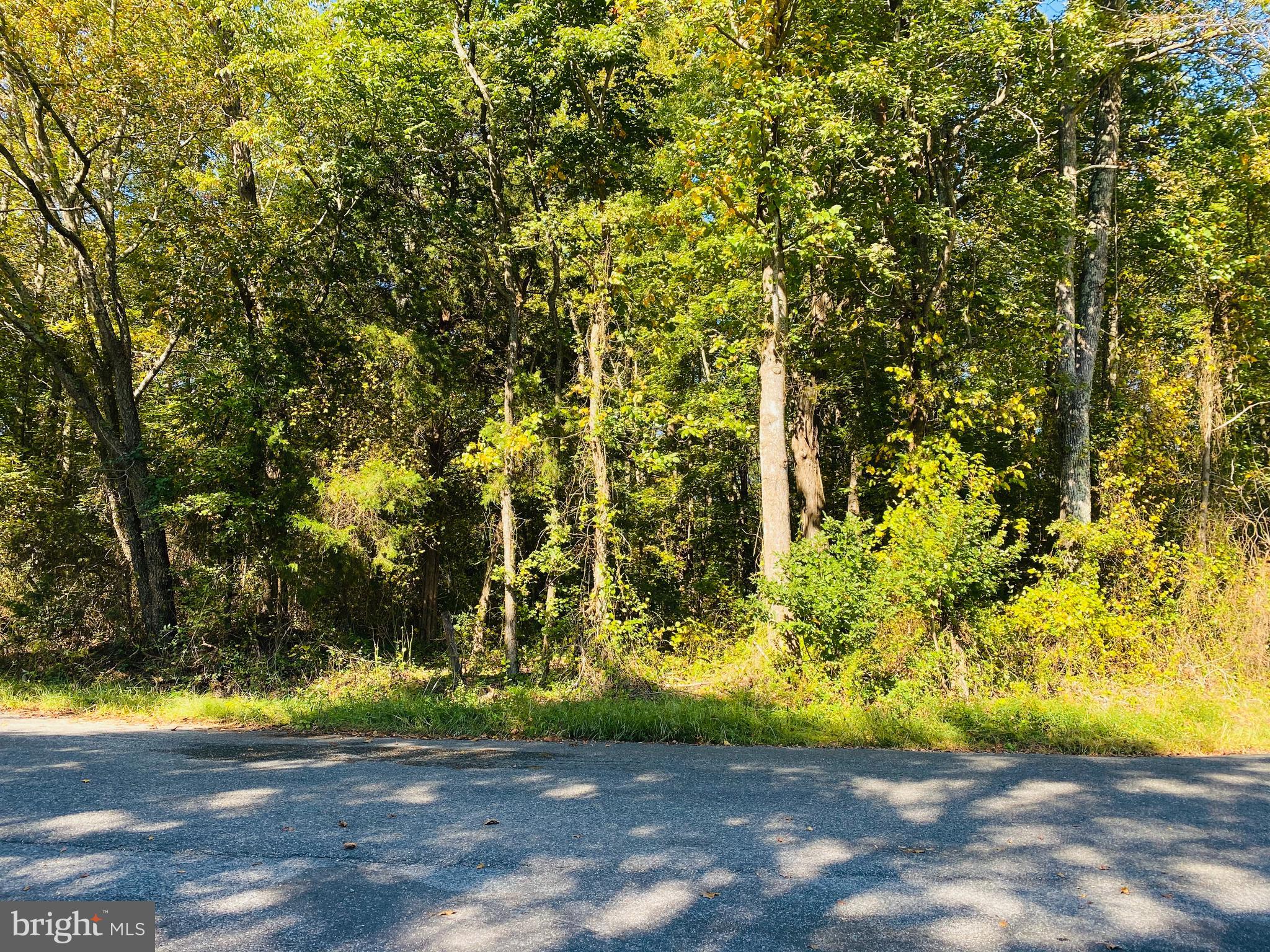 1457 Caledon Road King George, VA 22485 - Photo 4 of 6