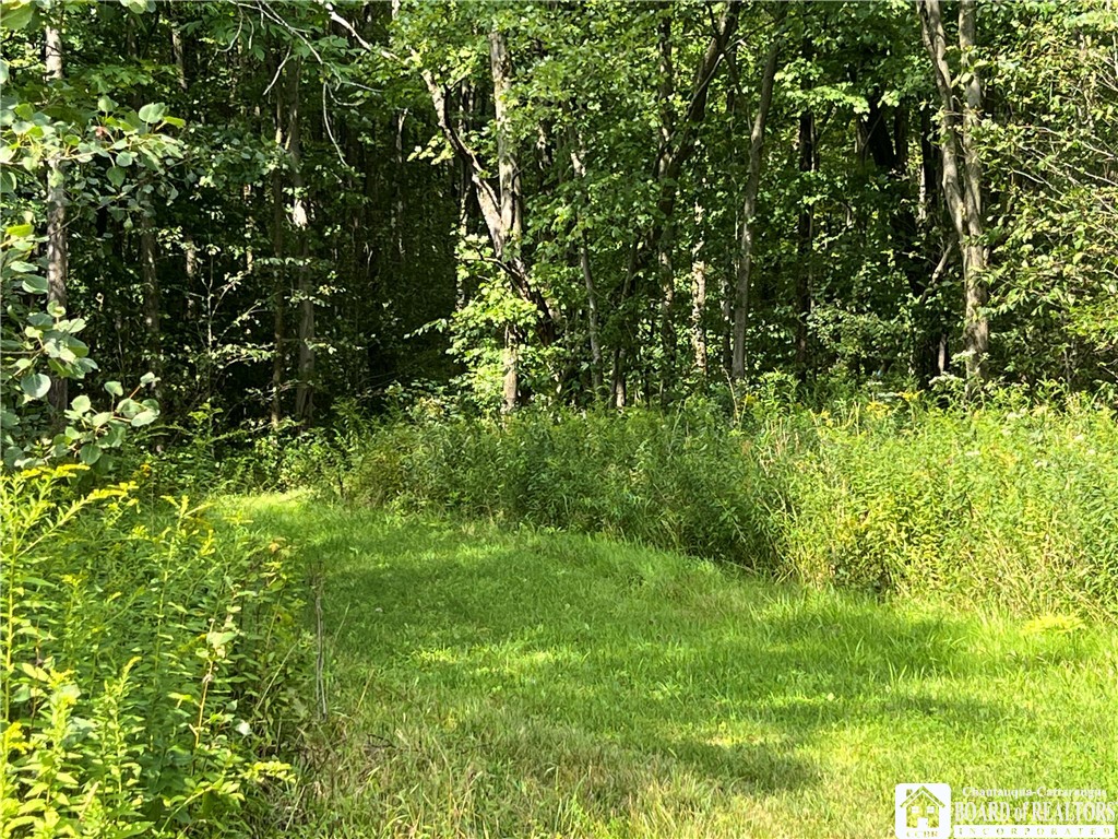 Mead Road North Jamestown, NY 14701 - Photo 14 of 42 Gallery Image 14