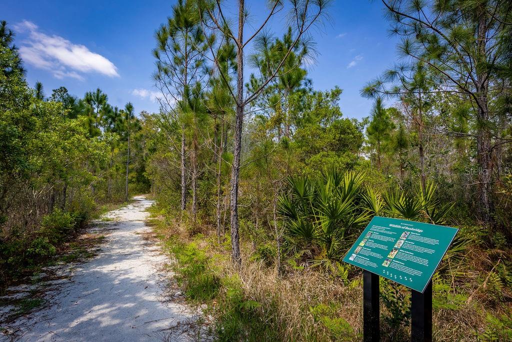 6681 Rucksack Road St. Cloud, FL 34771 - Photo 22 of 32 Gallery Image 22