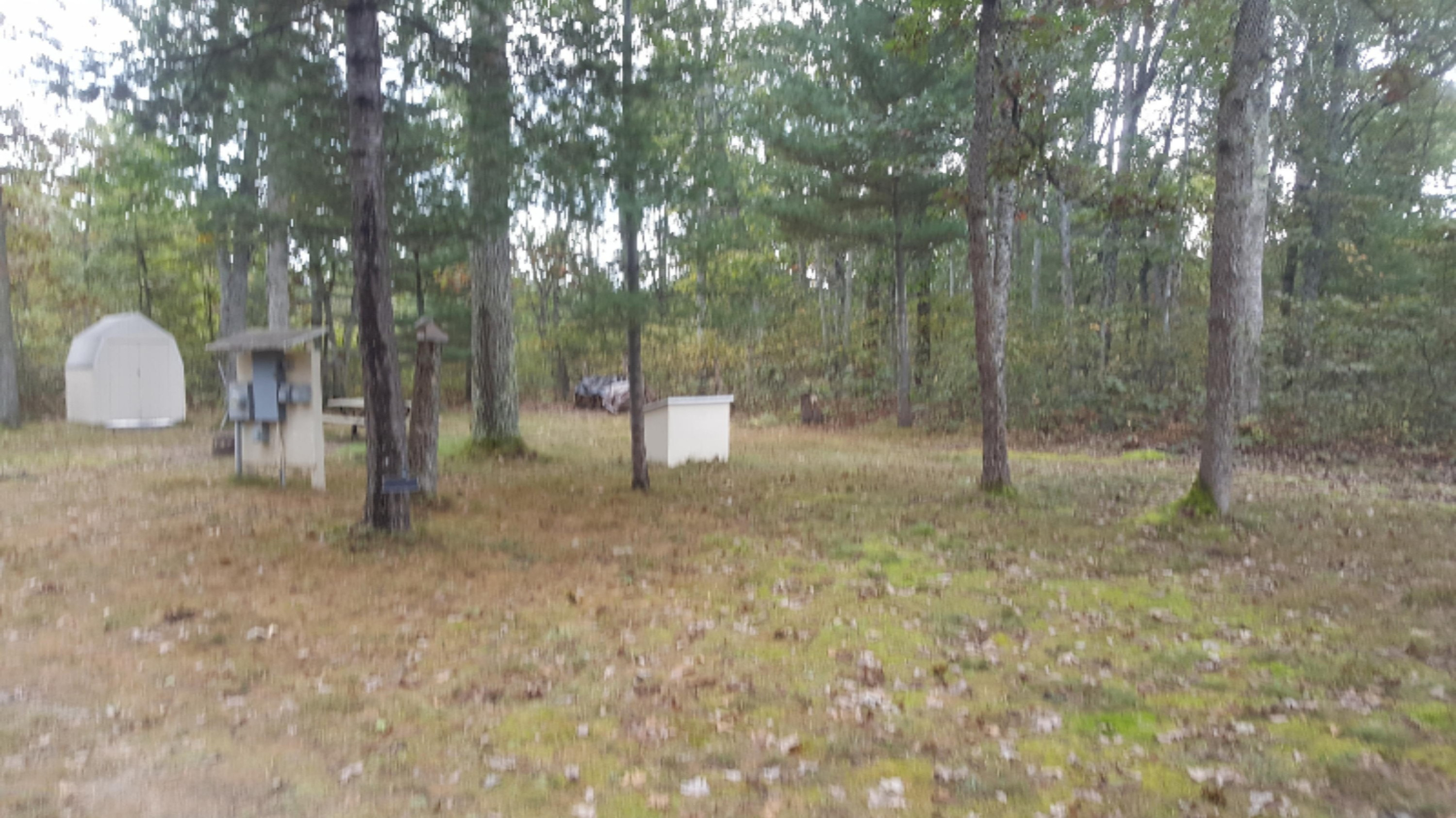 17814 Christopher Road Wellston, MI 49689 - Photo 3 of 7 20171011_133924_002