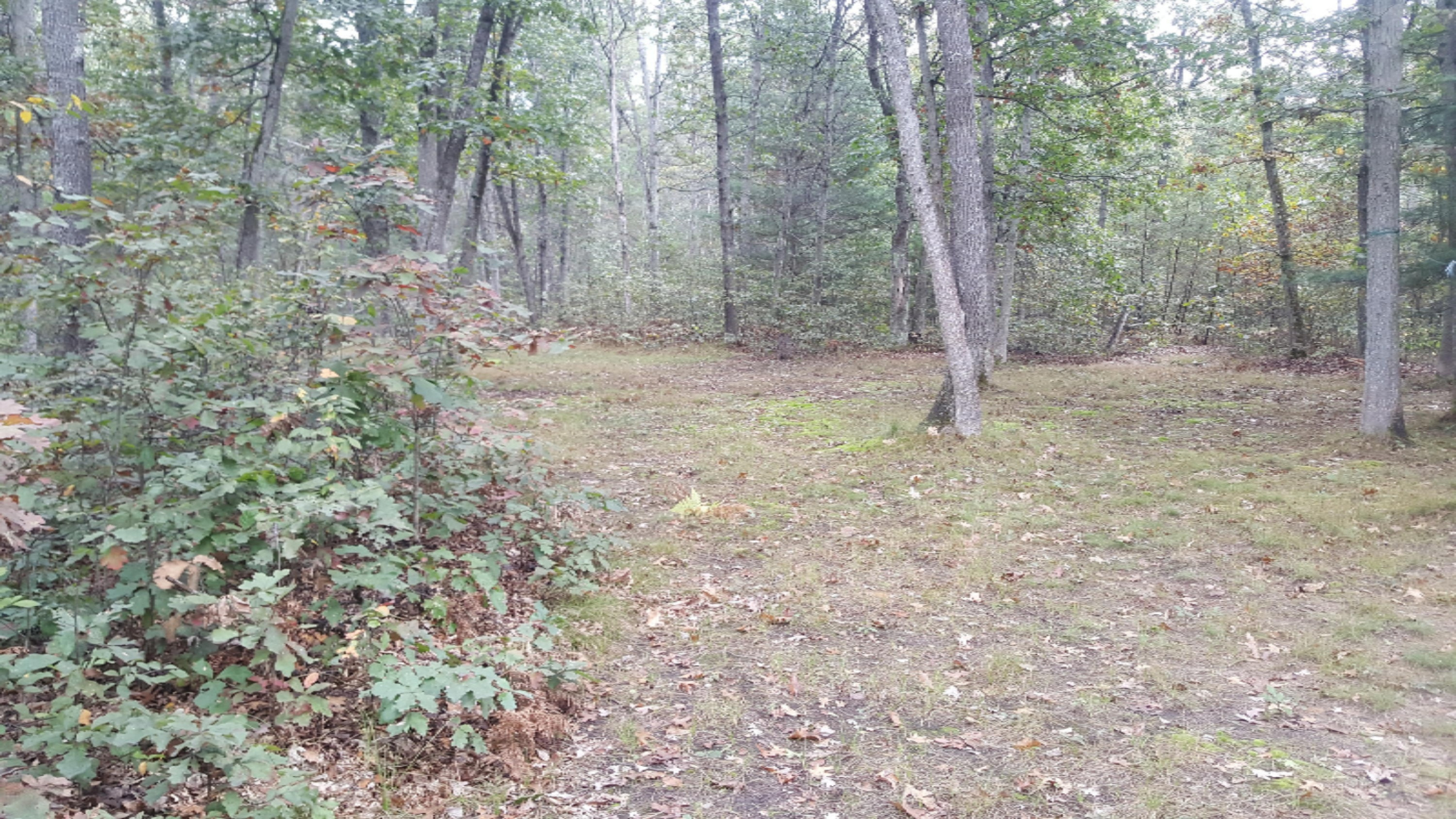 17814 Christopher Road Wellston, MI 49689 - Photo 4 of 7 20171011_133933_018