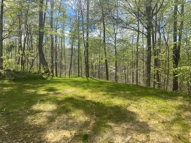 6000 Greenbriar Road Breeding, KY 42715 - Photo 2 of 29 Gallery Image 2