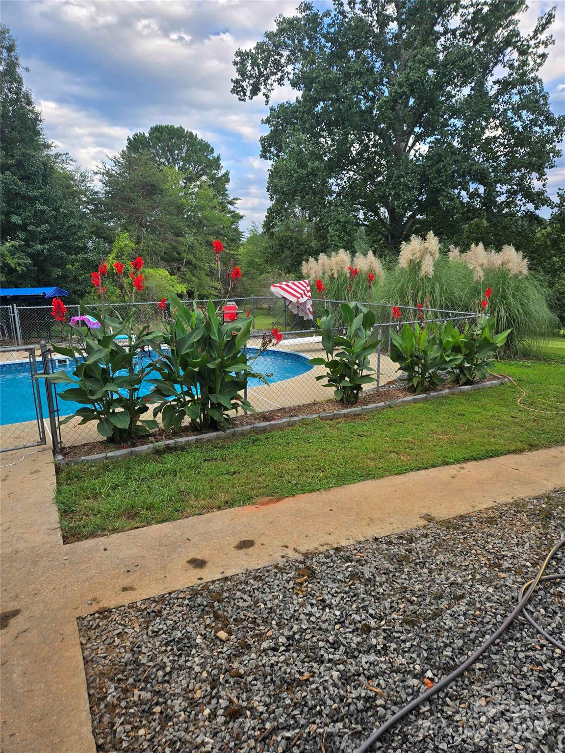 530 Toney Road Marion, NC 28752 - Photo 17 of 48 a green field with flowers and trees