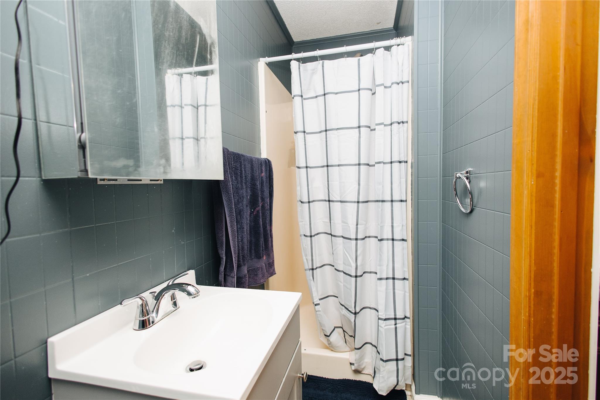 530 Toney Road Marion, NC 28752 - Photo 24 of 48 a bathroom with a sink and a window