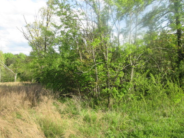 Lot 10 Lipscomb Road Moneta, VA 24121 - Photo 1 of 4 Lot 10 Lipscomb