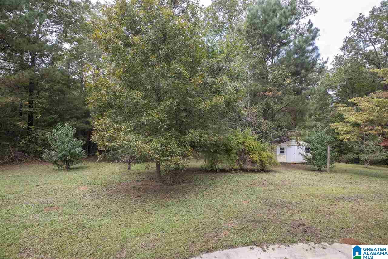 8829 Brasher Road Pinson, AL 35126 - Photo 27 of 40