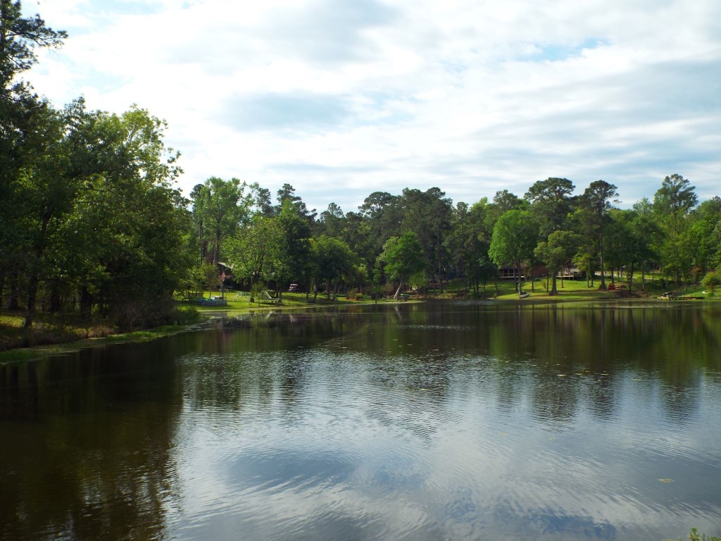 Lot 34 Dogwood Road Huntsville, TX 77320 - Photo 13 of 23 a view of a lake