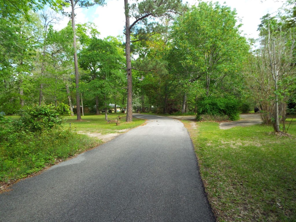 Lot 34 Dogwood Road Huntsville, TX 77320 - Photo 14 of 23 a view of a park with large trees