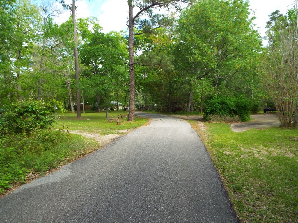 Lot 34 Dogwood Road Huntsville, TX 77320 - Photo 15 of 23 a view of a park with trees in the background