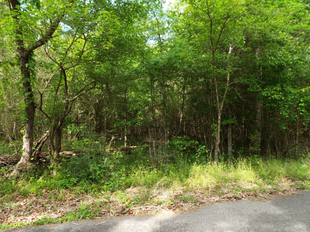 Lot 34 Dogwood Road Huntsville, TX 77320 - Photo 2 of 23 a view of outdoor space and yard
