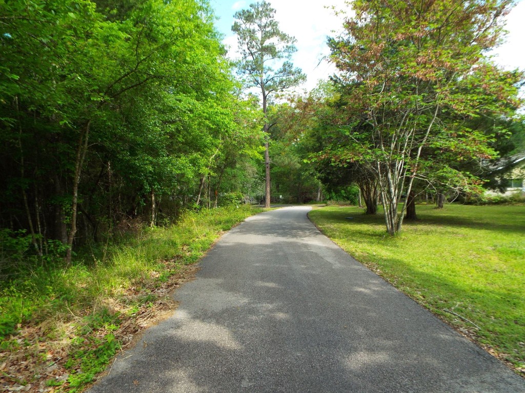 Lot 34 Dogwood Road Huntsville, TX 77320 - Photo 22 of 23 a view of a park with large trees