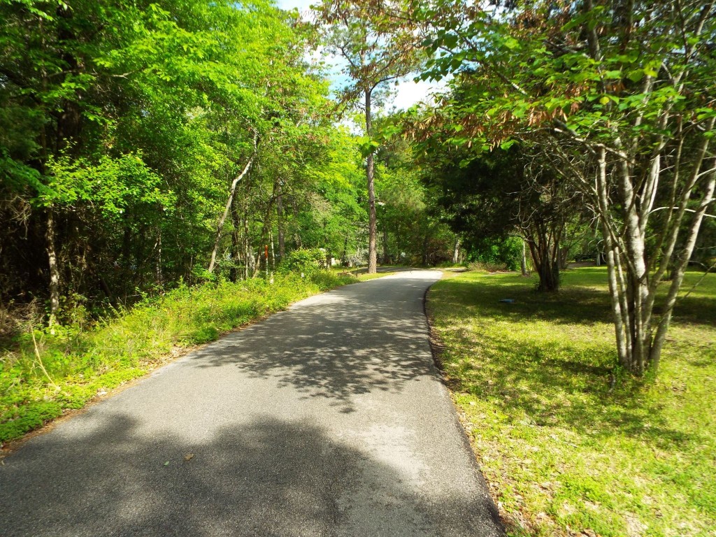 Lot 34 Dogwood Road Huntsville, TX 77320 - Photo 3 of 23 a view of a yard with large trees