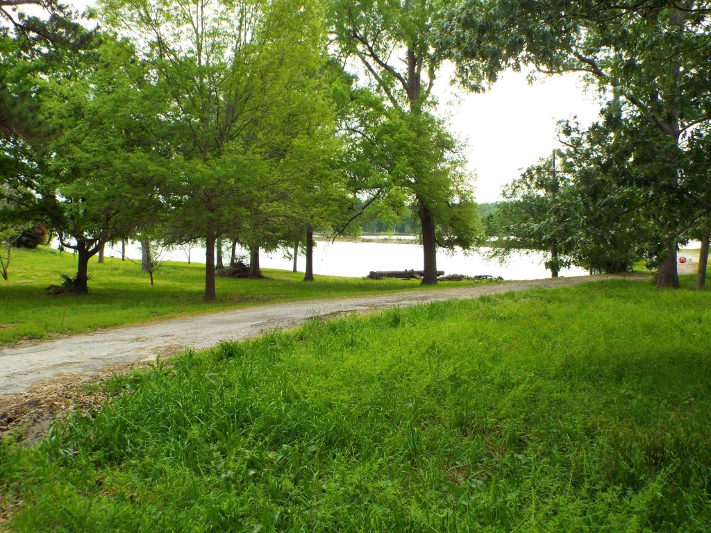 Lot 34 Dogwood Road Huntsville, TX 77320 - Photo 7 of 23 a huge green field with lots of trees