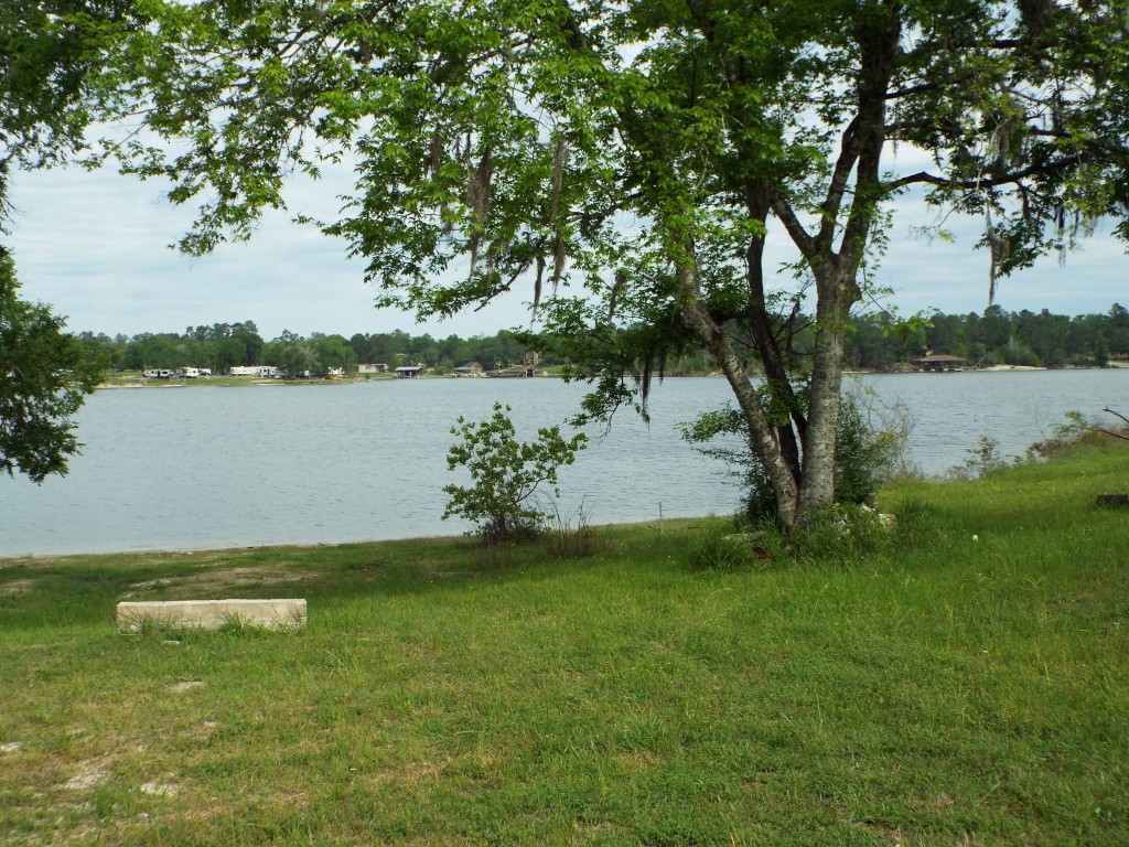 Lot 34 Dogwood Road Huntsville, TX 77320 - Photo 10 of 23 a view of a lake from a yard