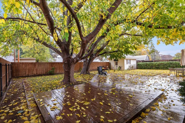 a view of a yard with plants and large trees