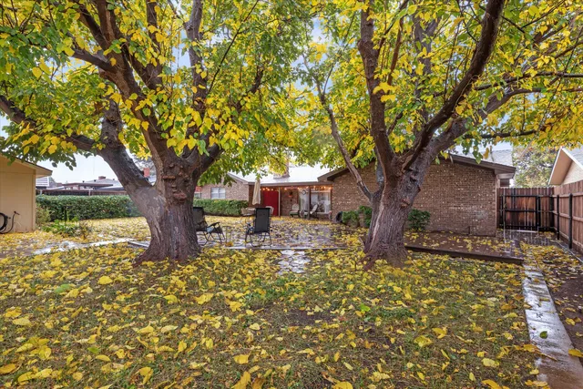 a tree in front of a white house