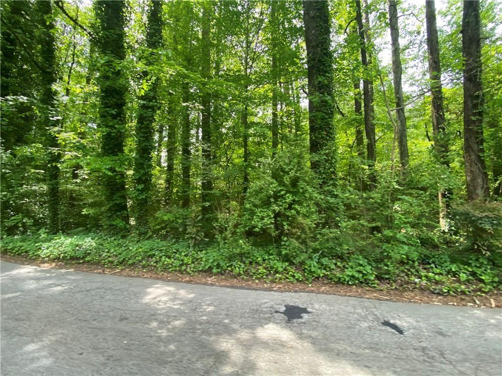 0 Conley Road Southeast Atlanta, GA 30354 - Photo 3 of 5 Gallery Image 3