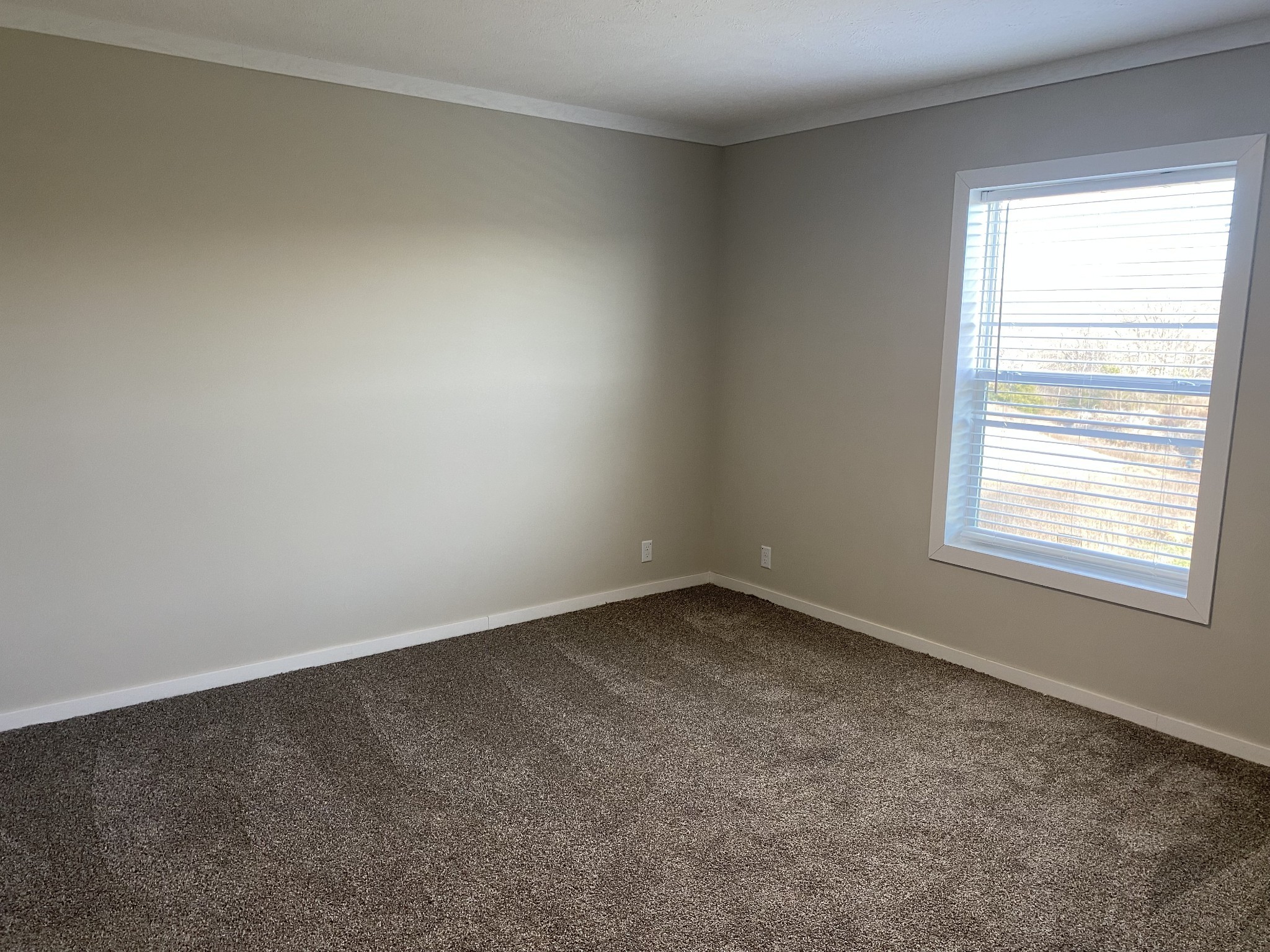 1710 Gamaliel Road Red Boiling Springs, TN 37150 - Photo 10 of 24