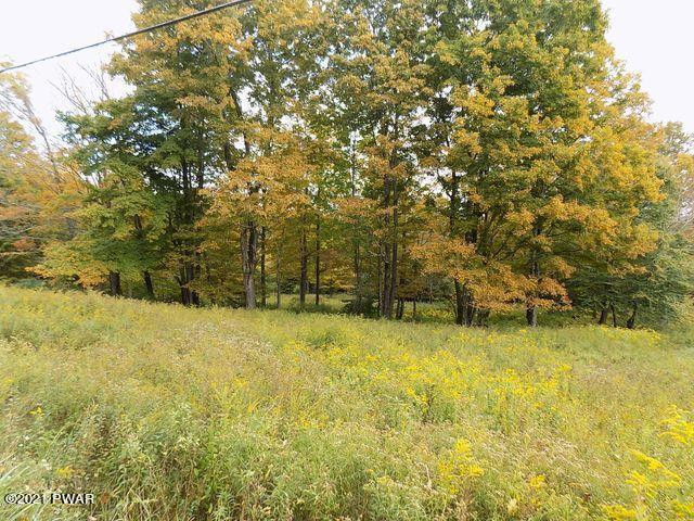 196 & 507 Newfoundland, PA 18445 - Photo 3 of 7