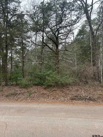 $80,000 | 11372 County Road 2326, Tyler, TX 75707