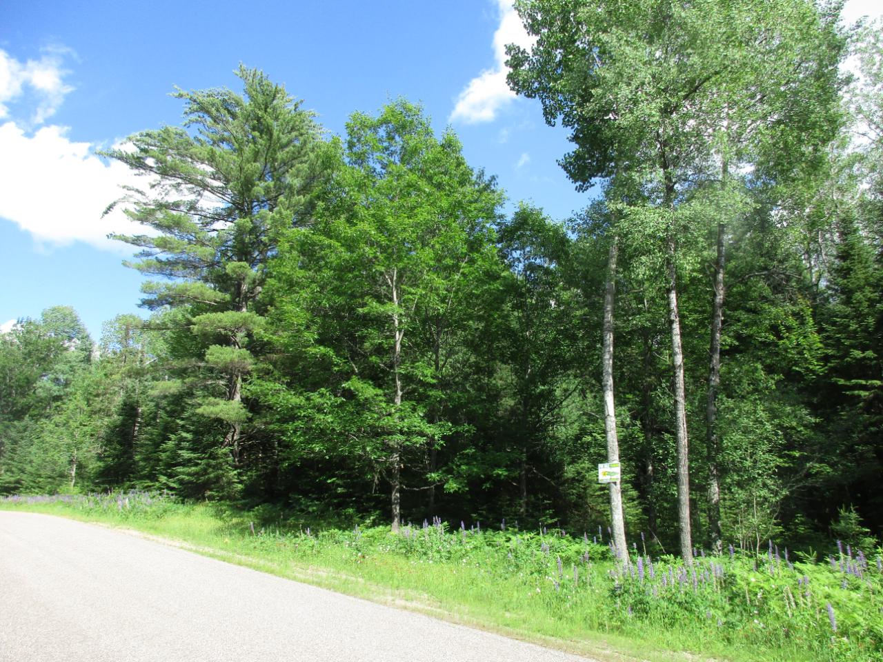 Off Garrett's Trail, Unit LOT 34 Rhinelander, WI 54501 - Photo 6 of 7 Gallery Image 6