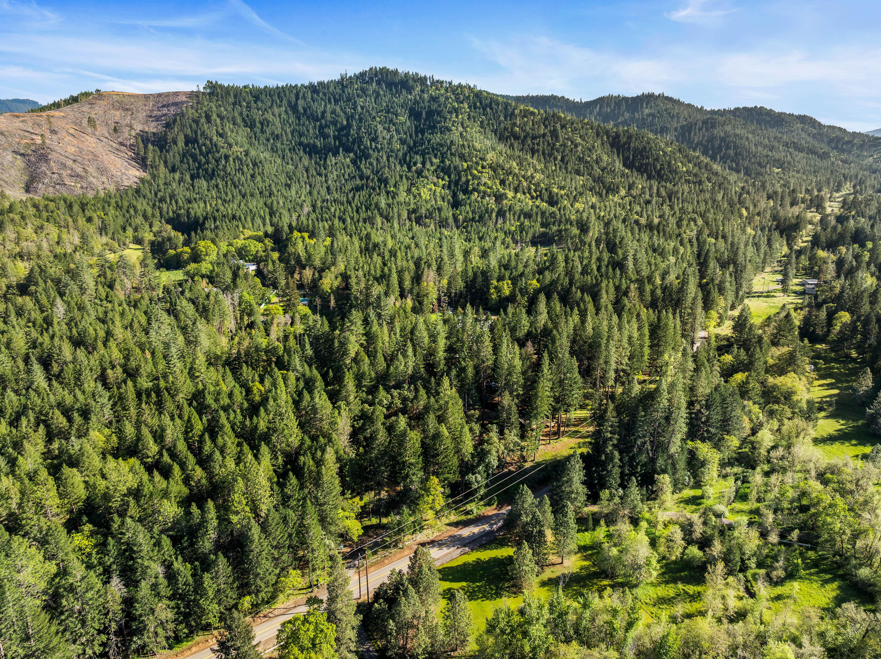 1201 Reeves Creek Road Selma, OR 97538 - Photo 34 of 38 a view of a lush green forest with mountains in the background