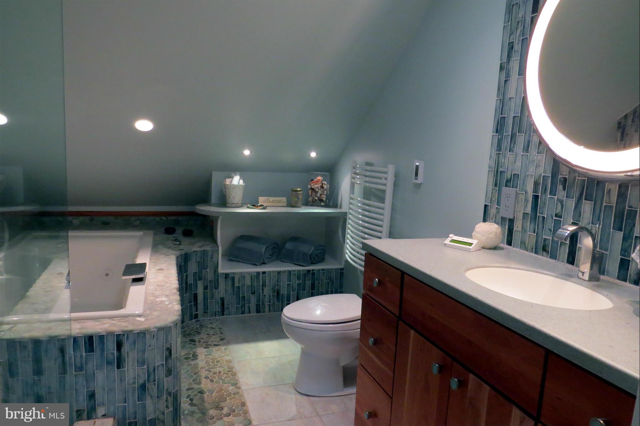 6 Over Ridge Court Potomac, MD 20854 - Photo 18 of 30 Bath