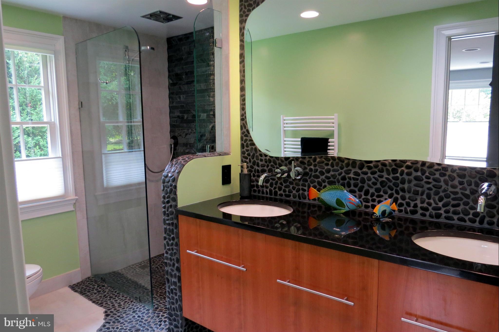 6 Over Ridge Court Potomac, MD 20854 - Photo 22 of 30 Bath (Master)