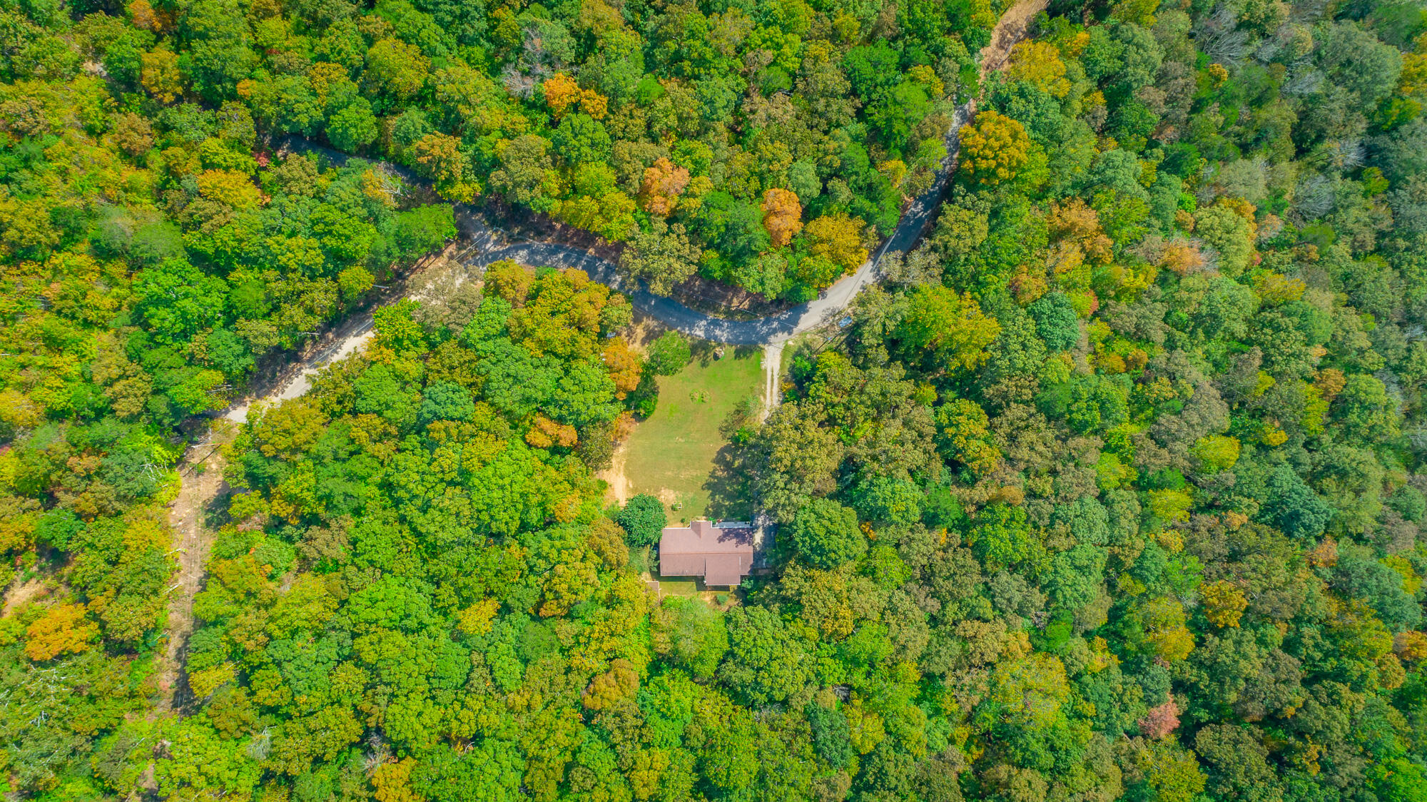 395 Dancing Fern Road Sequatchie, TN 37374 - Photo 15 of 67 395 Dancing Fern Road HD-74