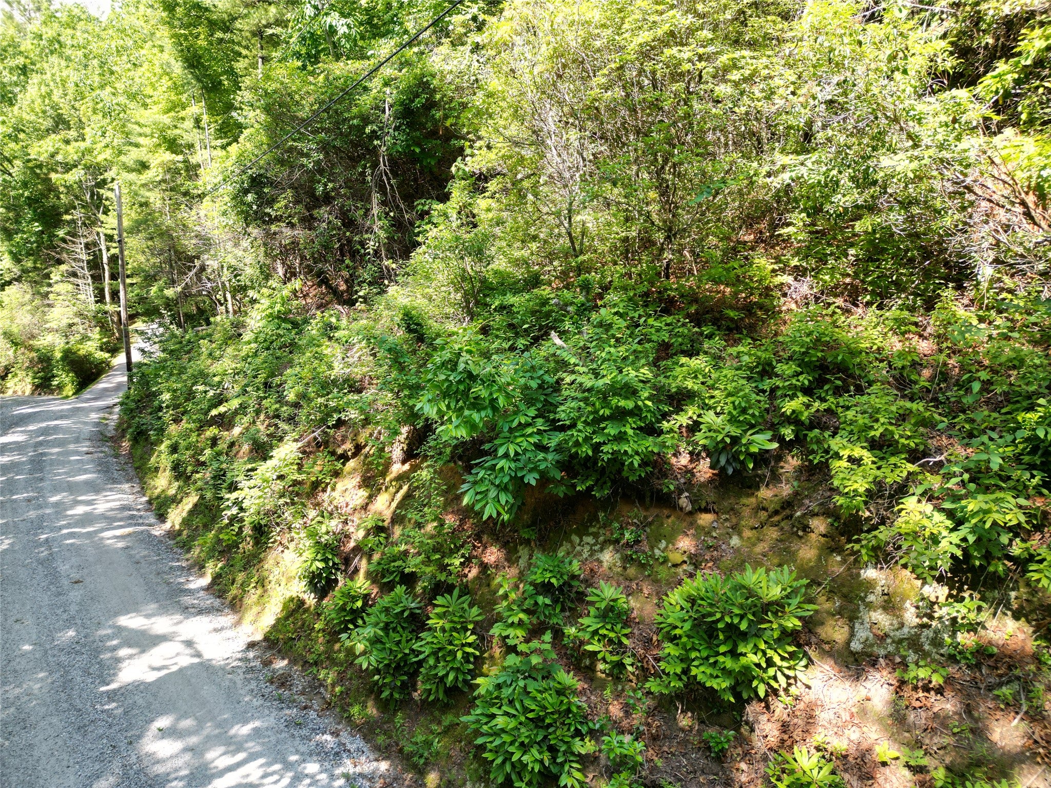 0 Old Bear Ridge Road Scaly Mountain, NC 28775 - Photo 7 of 7 Gallery Image 7